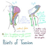 Figure16